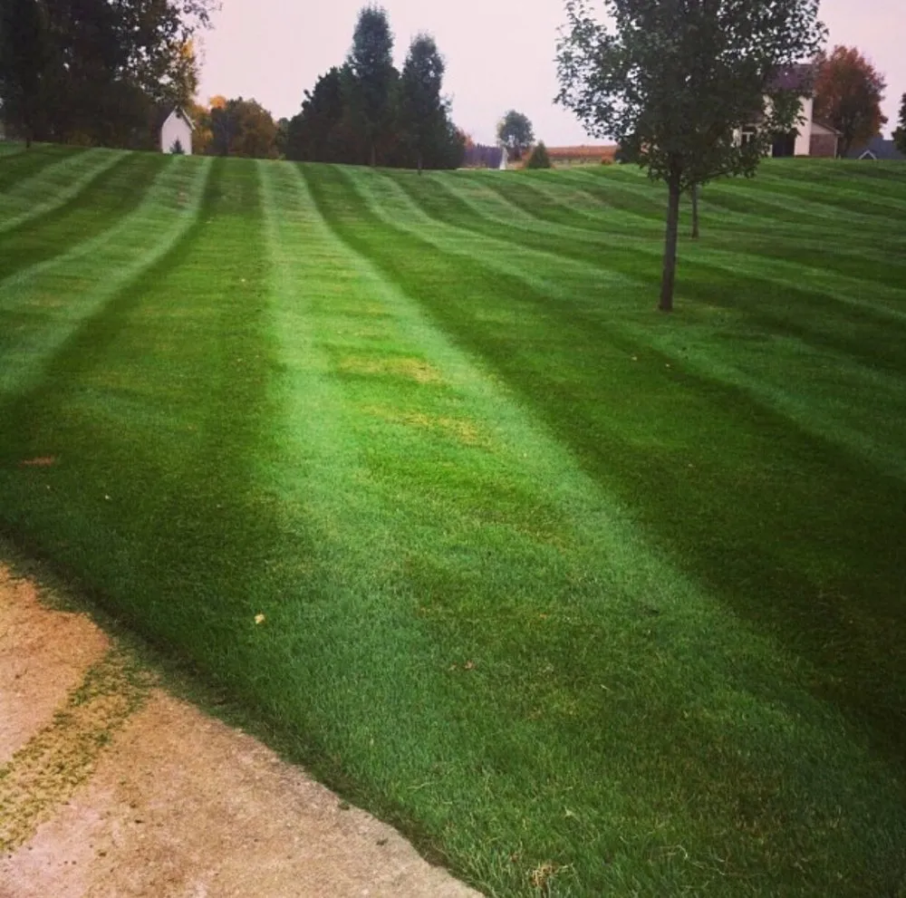 Professional yard cleanup service with custom design in Clarkston, MI by Dependable Lawn & Landscaping