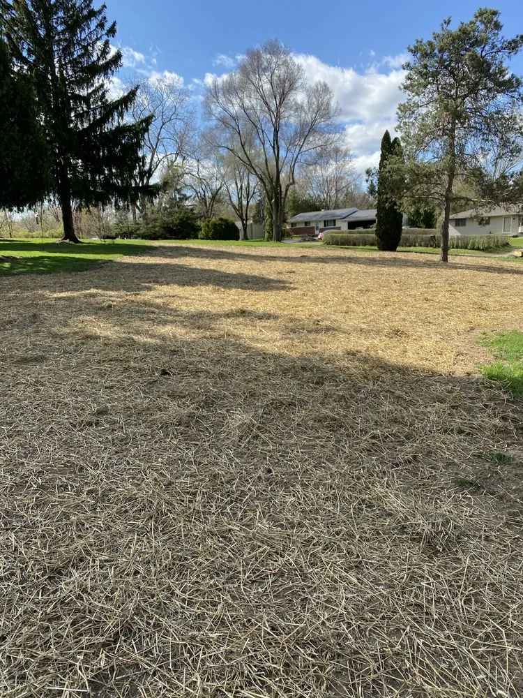 Custom yard maintenance in Clarkston, MI - Dependable Lawn & Landscaping