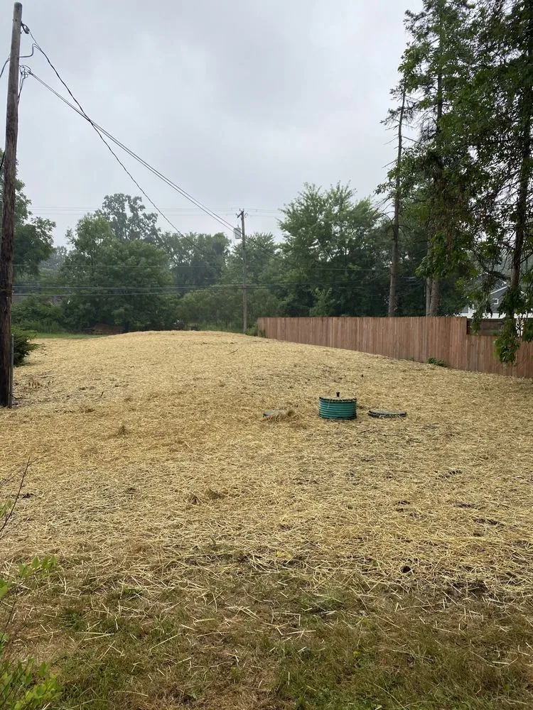 Professional landscape design in Clarkston, MI - Dependable Lawn & Landscaping