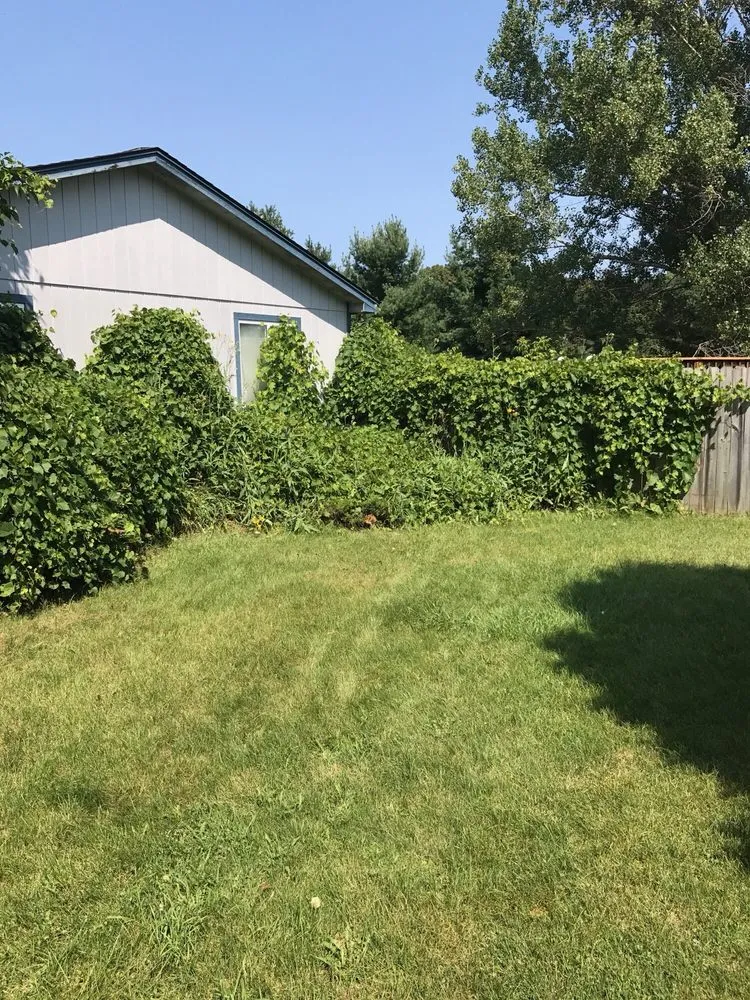 Custom landscape design for outdoor upgrades in Clarkston, MI by Dependable Lawn & Landscaping