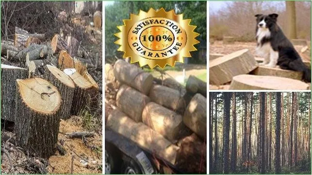 Reliable garden landscaping in Ridgeland, MS by Dependable Lawn and Tree Service