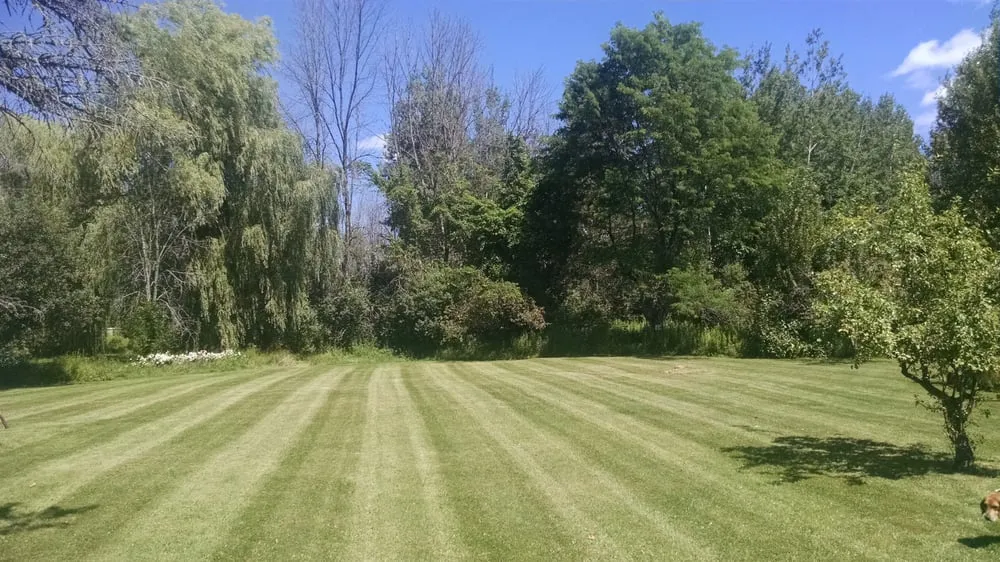 Expert yard maintenance for residential properties in Alpena, MI by Dependable Lawn Care