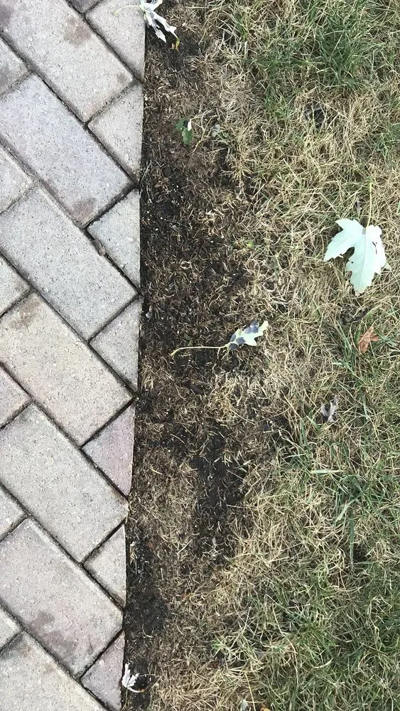 Expert garden landscaping for beautiful yards in Blue Island, IL by Dependable Lawn Care