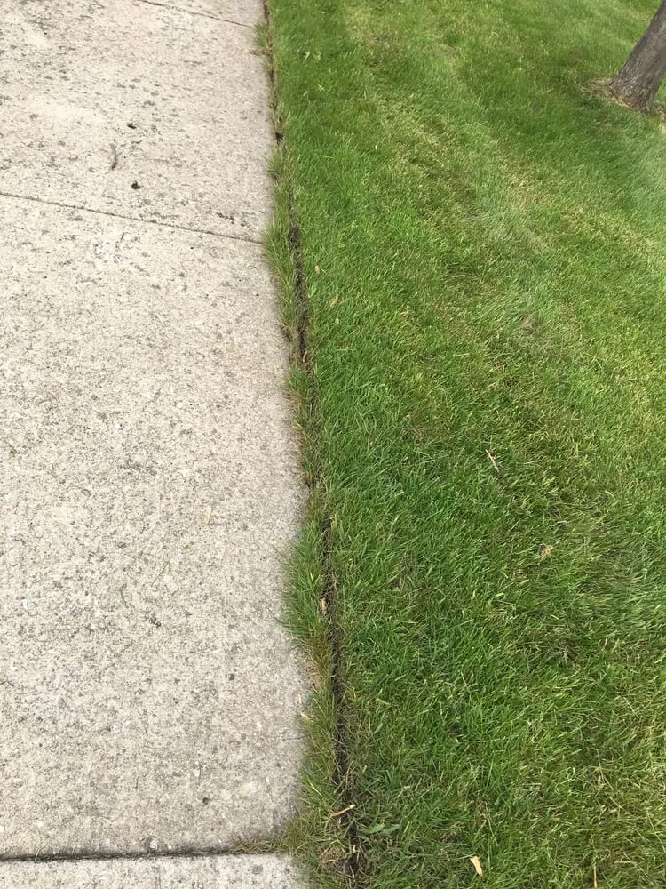 Expert landscape installation experts serving Blue Island, IL - Dependable Lawn Care