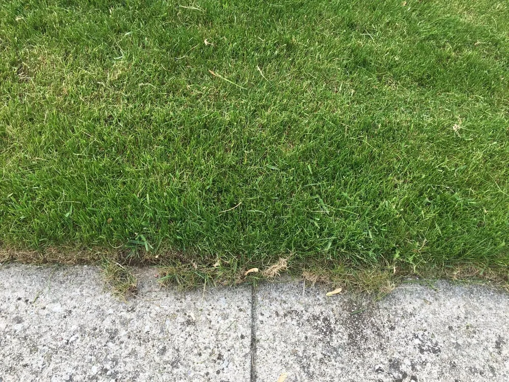 Affordable lawn care service for residential properties across Blue Island, IL - Dependable Lawn Care