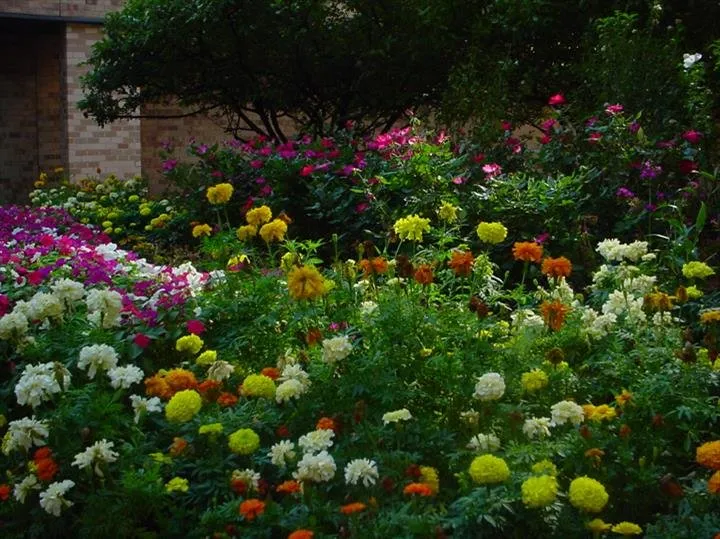 Custom landscape installation for beautiful yards across Blue Island, IL - Dependable Lawn Care