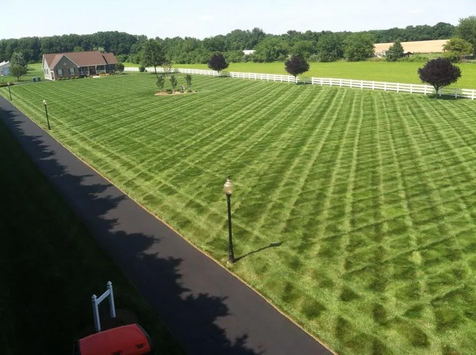 Affordable yard cleanup service in Middletown, DE - Dependable Lawn Care