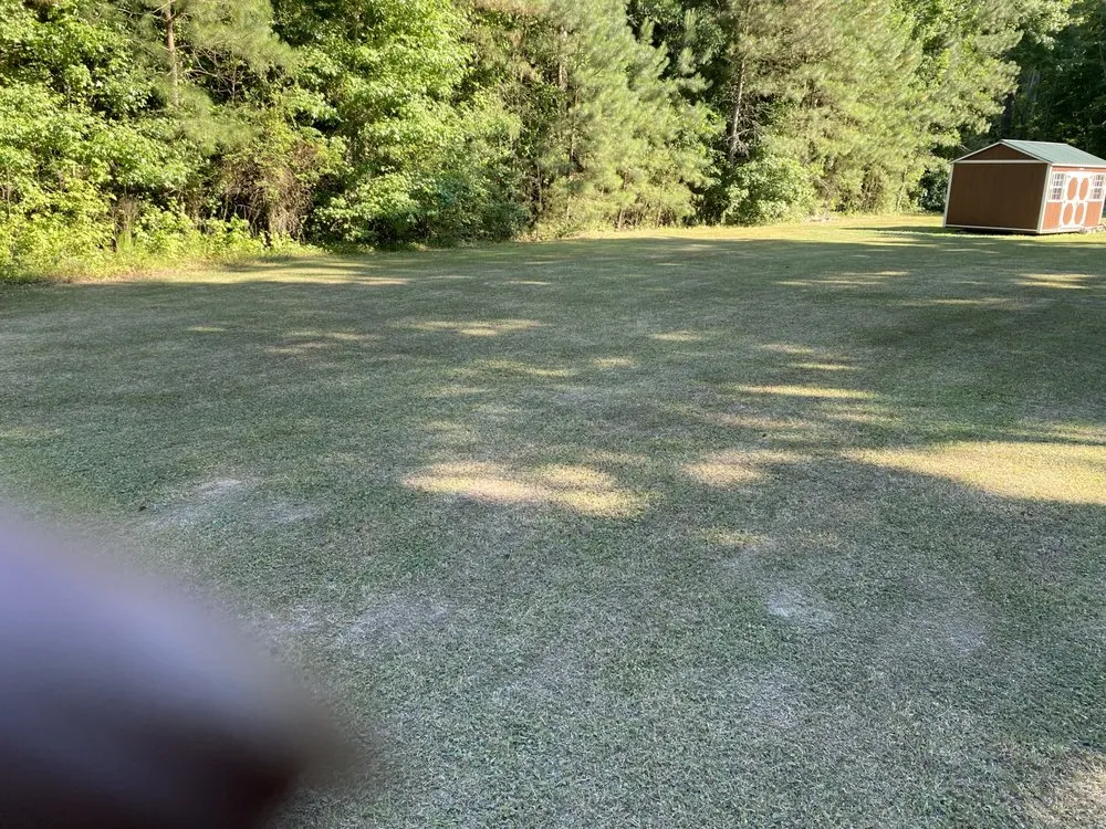 Professional lawn care service for year-round maintenance in Newport News, VA by Dependable Lawn Care