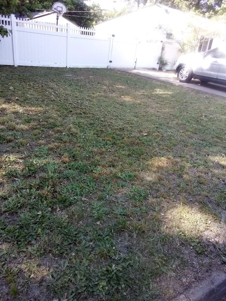 Reliable landscaping services in Newport News, VA by Dependable Lawn Care