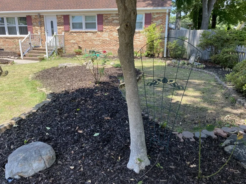 Custom landscaping services in Newport News, VA - Dependable Lawn Care