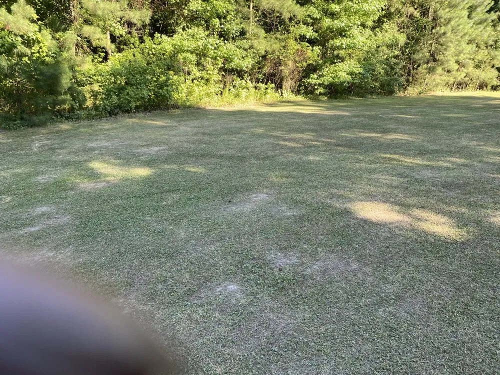 Trusted lawn care service experts serving Newport News, VA - Dependable Lawn Care