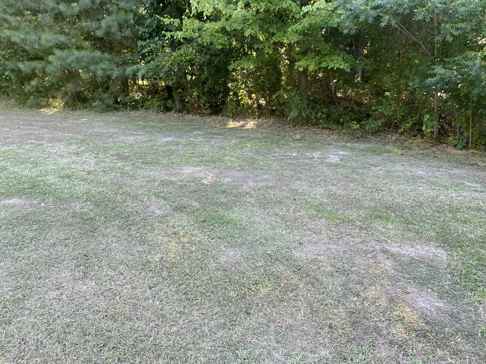 Top-rated residential landscaping near you across Newport News, VA - Dependable Lawn Care