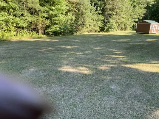 Dependable Lawn Care Logo