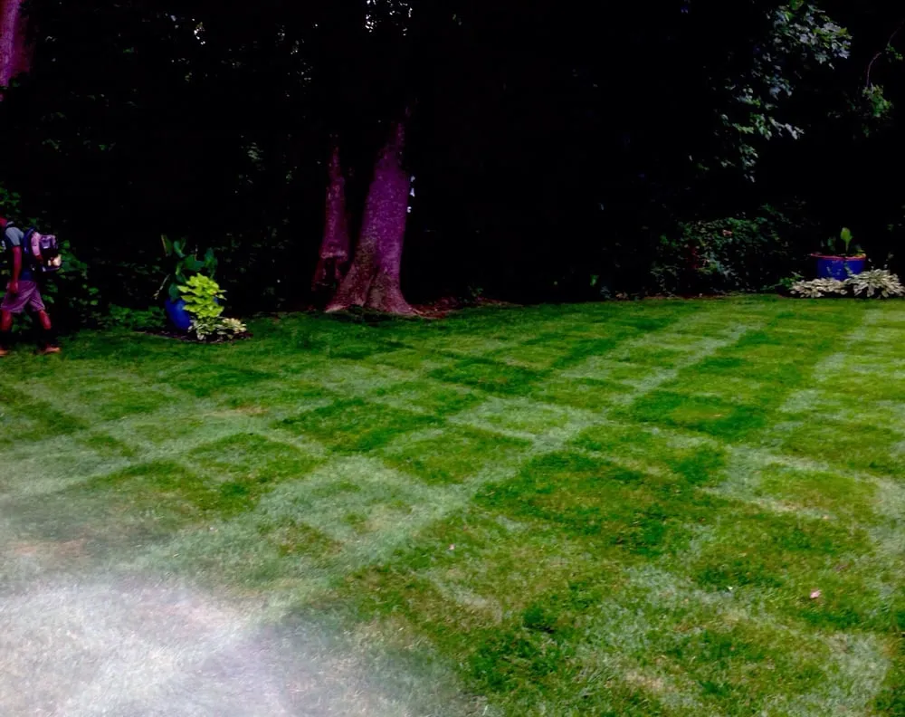 Top-rated yard maintenance for beautiful yards across Rutledge, PA - Dependable Lawn Care