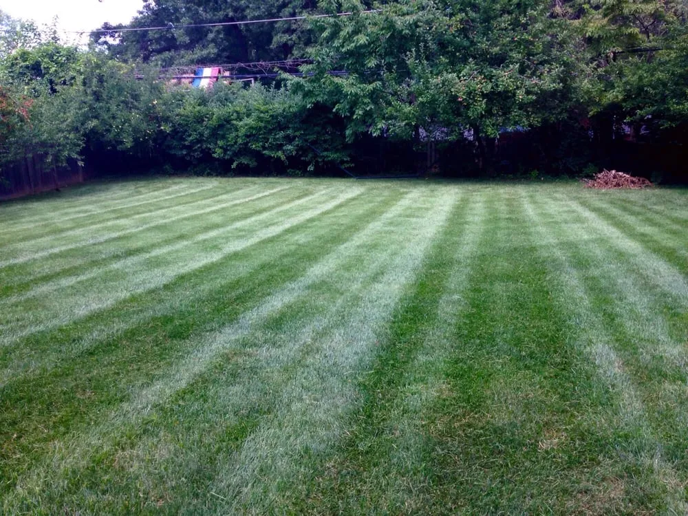 Expert garden landscaping for homes in Rutledge, PA by Dependable Lawn Care