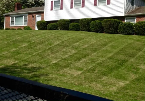 Dependable Lawn Care