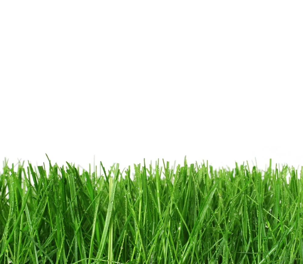 Local landscaping services experts serving Killeen, TX - Dependable Lawn Care Service