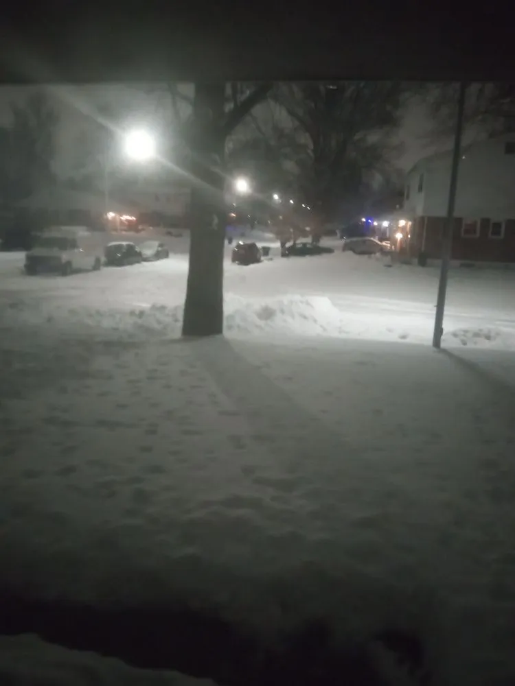 Trusted lawn care service for year-round maintenance across Saint Louis, MO - Dependable Lawn Care Snowplowi