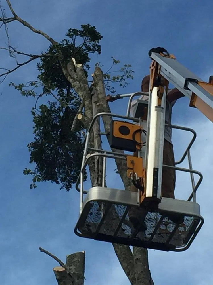 Top-rated yard maintenance in Southport, NC by Dependable Lawn Care