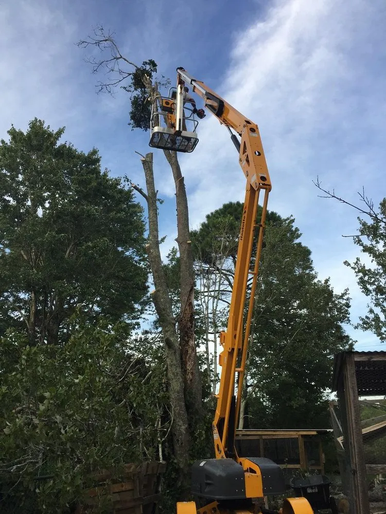 Trusted lawn mowing service in Southport, NC - Dependable Lawn Care