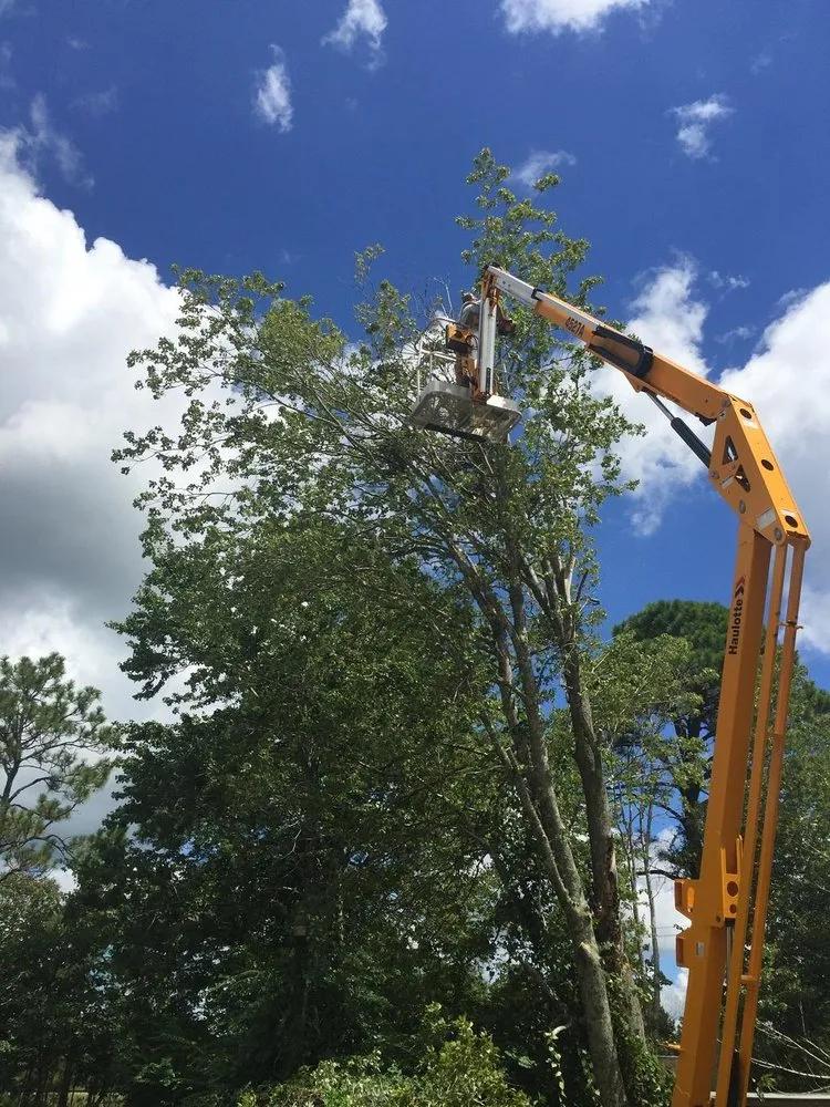 Custom residential landscaping experts serving Southport, NC - Dependable Lawn Care