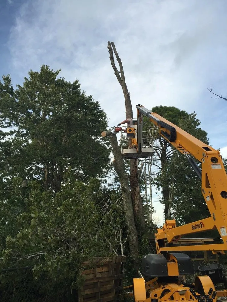 Professional outdoor landscaping in Southport, NC - Dependable Lawn Care