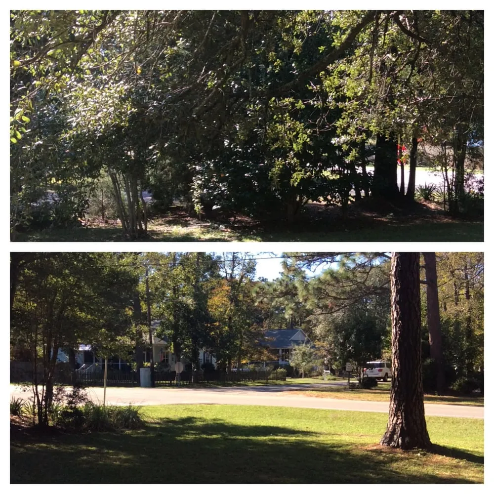 Reliable landscape design in Southport, NC - Dependable Lawn Care