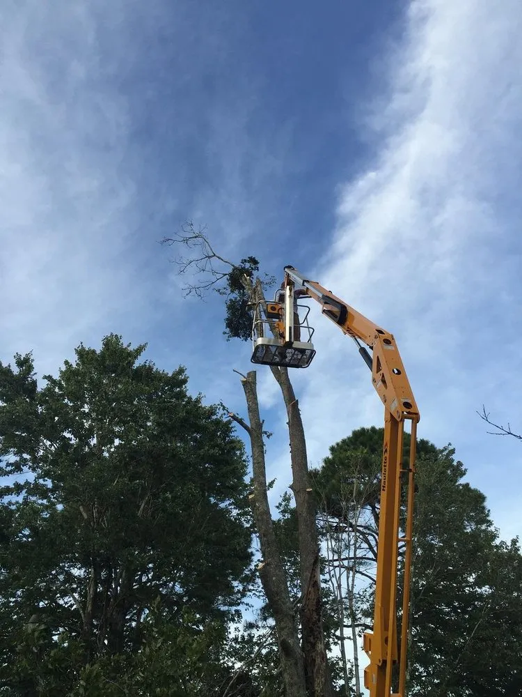 Professional yard maintenance for homes in Southport, NC by Dependable Lawn Care