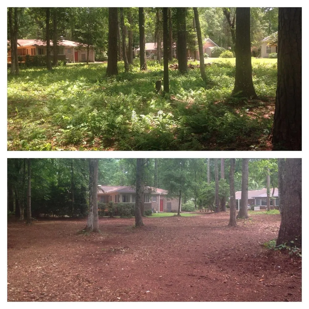 Reliable residential landscaping for outdoor upgrades across Southport, NC - Dependable Lawn Care