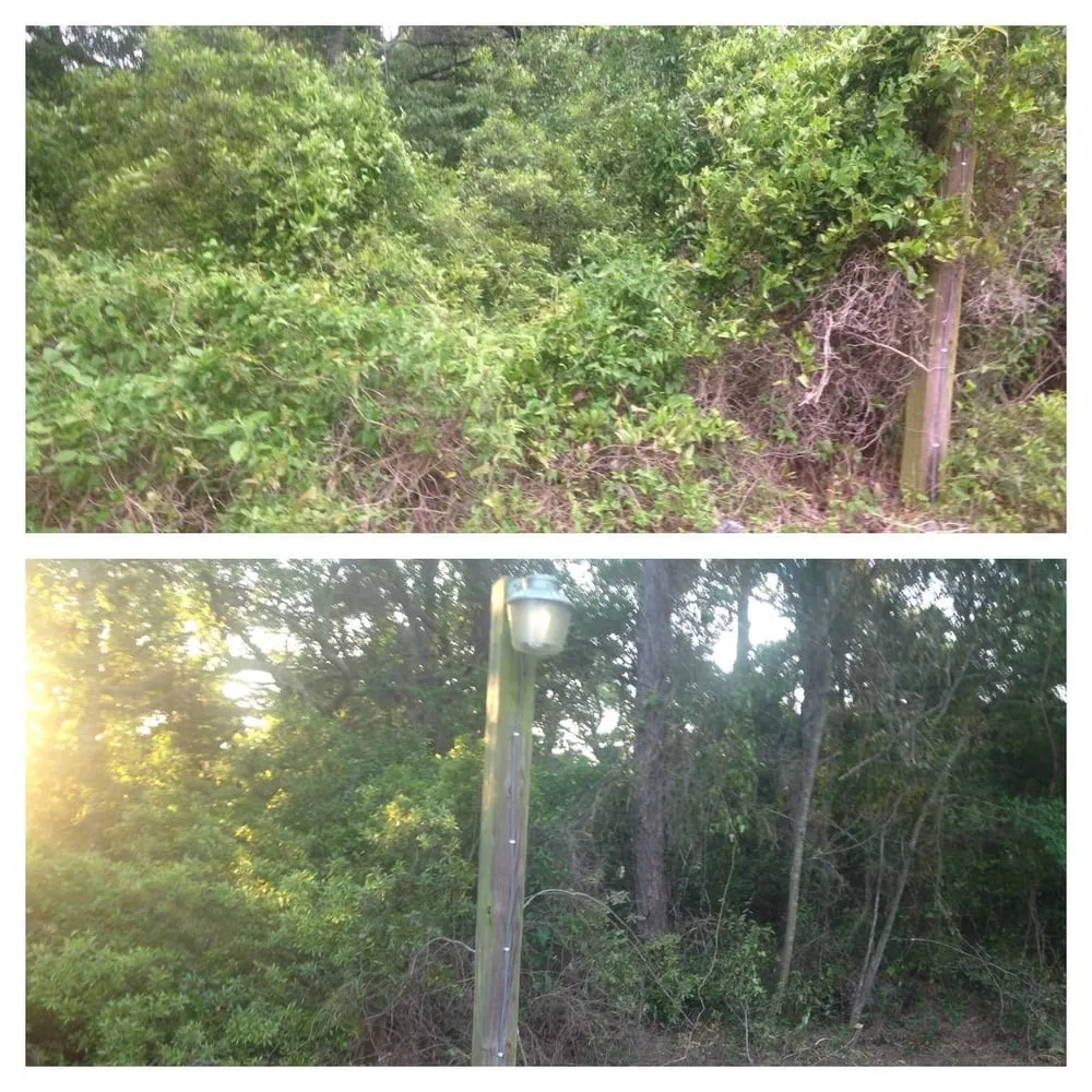 Trusted yard cleanup service experts serving Southport, NC - Dependable Lawn Care