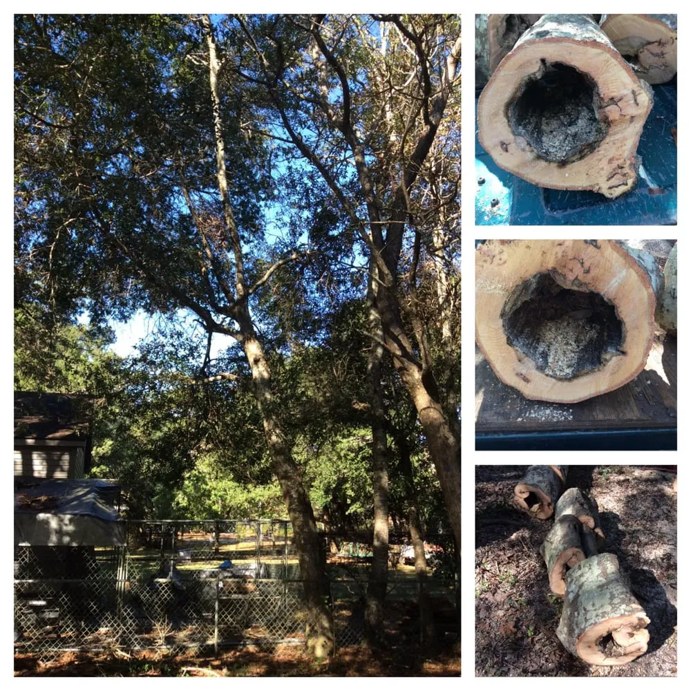 Custom lawn care service in Southport, NC - Dependable Lawn Care