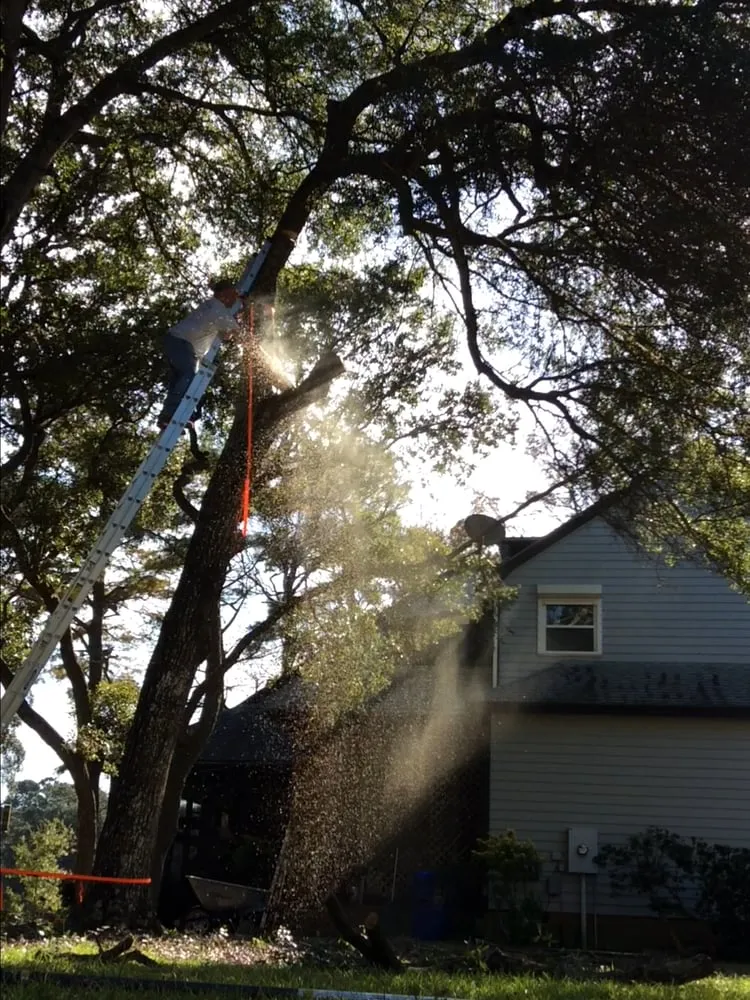 Affordable landscape installation in Southport, NC by Dependable Lawn Care