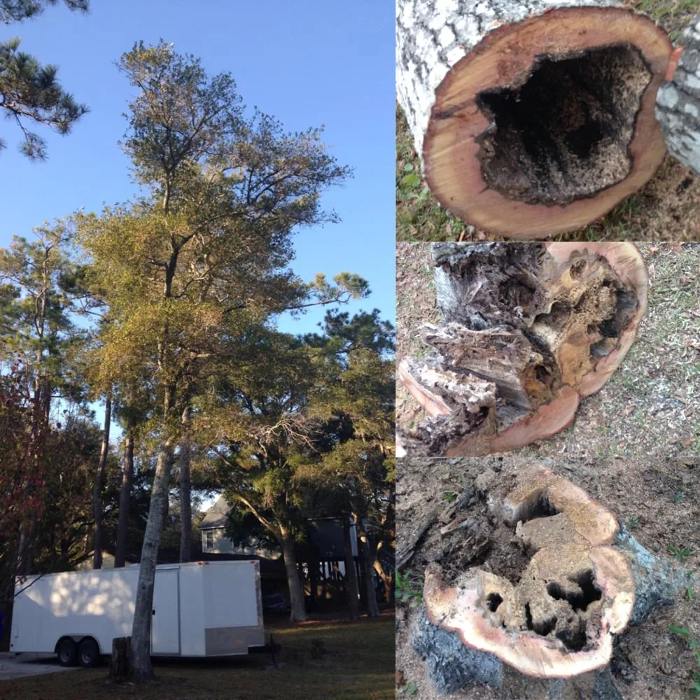 Top-rated lawn mowing service in Southport, NC by Dependable Lawn Care