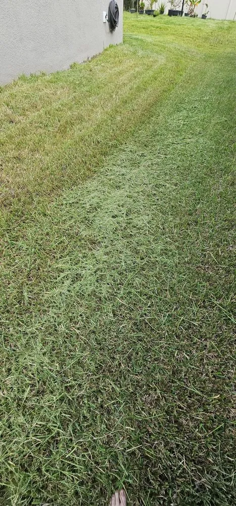 Local yard maintenance in Kissimmee, FL - Dependable Lawn Service of Kissimmee