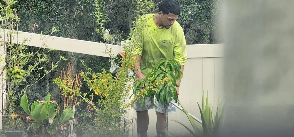 Top-rated landscape installation for year-round maintenance across Kissimmee, FL - Dependable Lawn Service of Kissimmee