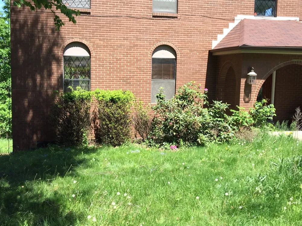 Local yard cleanup service in Pittsburgh, PA - Dependable Lawn Services