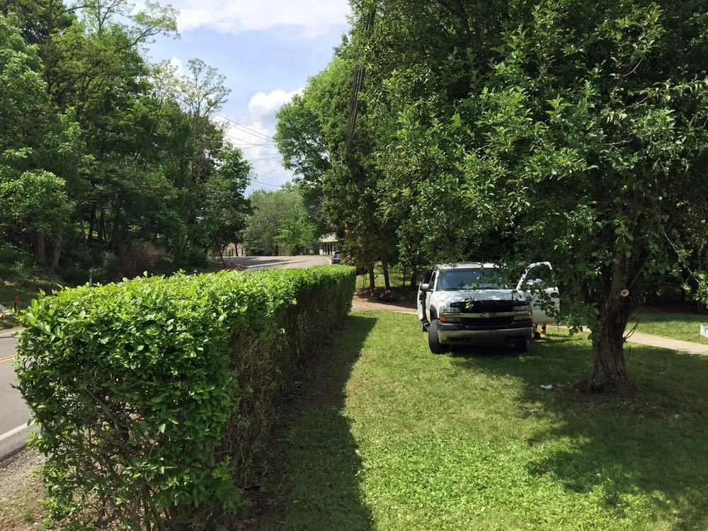 Trusted residential landscaping in Pittsburgh, PA by Dependable Lawn Services