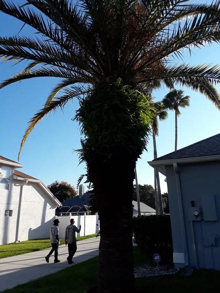 Expert lawn mowing service for beautiful yards across Orlando, FL - Dependable Property Care | DPC Rentals