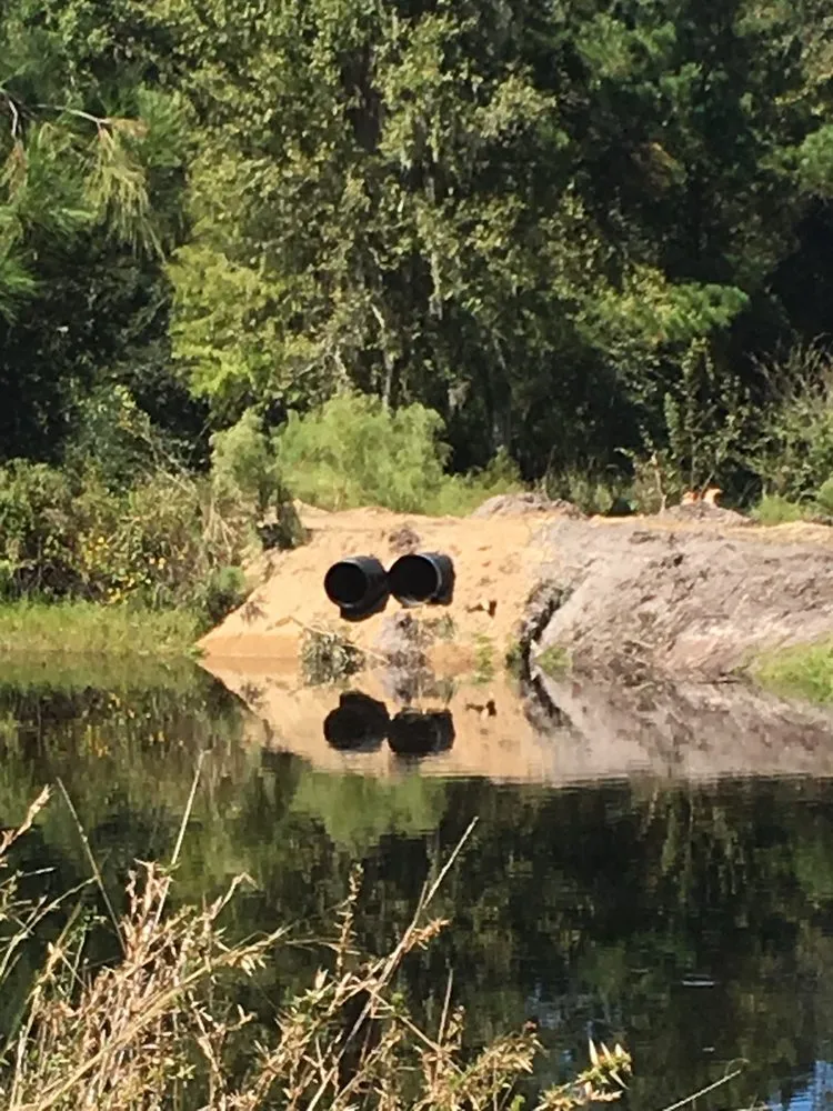 Trusted garden landscaping for year-round maintenance across Orlando, FL - Dependable Property Care | DPC Rentals