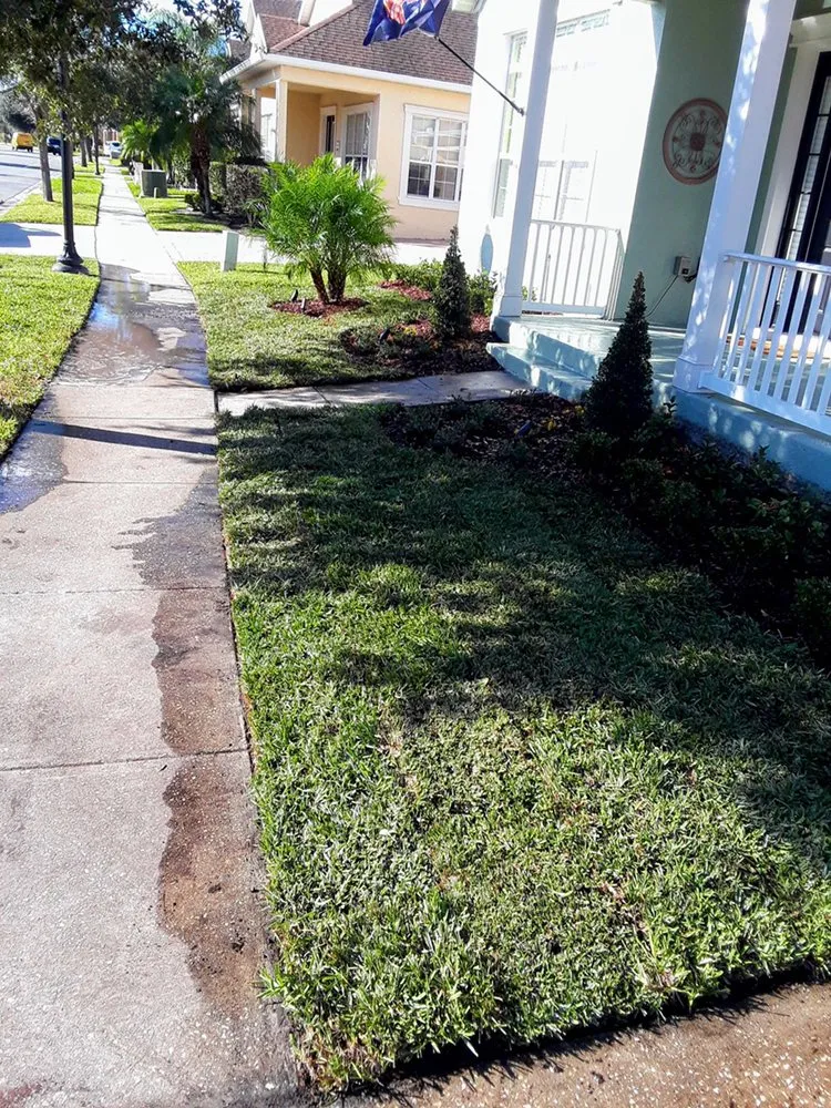 Custom landscaping services for beautiful yards in Orlando, FL by Dependable Property Care | DPC Rentals