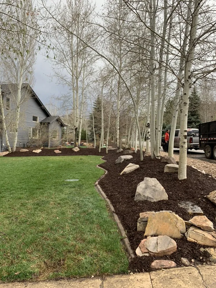 Local yard cleanup service for residential properties across Salt Lake City, UT - Dependable Tree service
