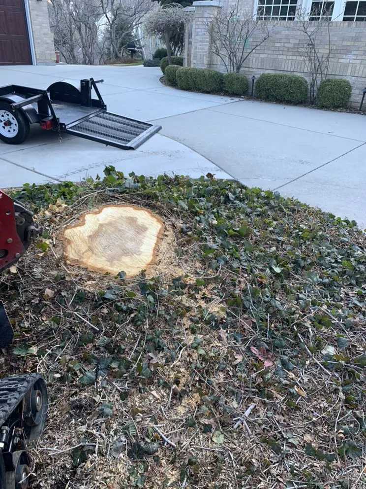 Custom landscaping services with custom design across Salt Lake City, UT - Dependable Tree service