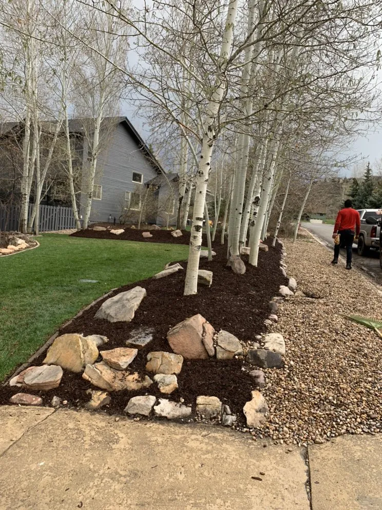 Top-rated yard maintenance in Salt Lake City, UT by Dependable Tree service
