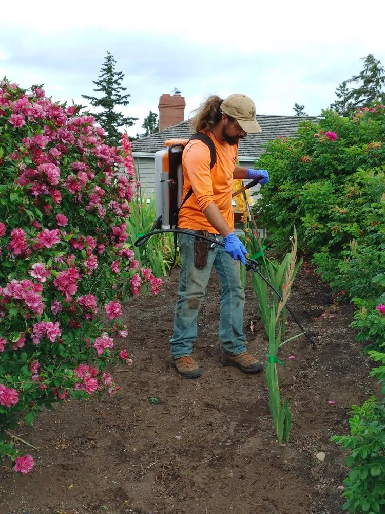 Custom garden landscaping in Bellingham, WA - Dependable Yard Care & Landscapes