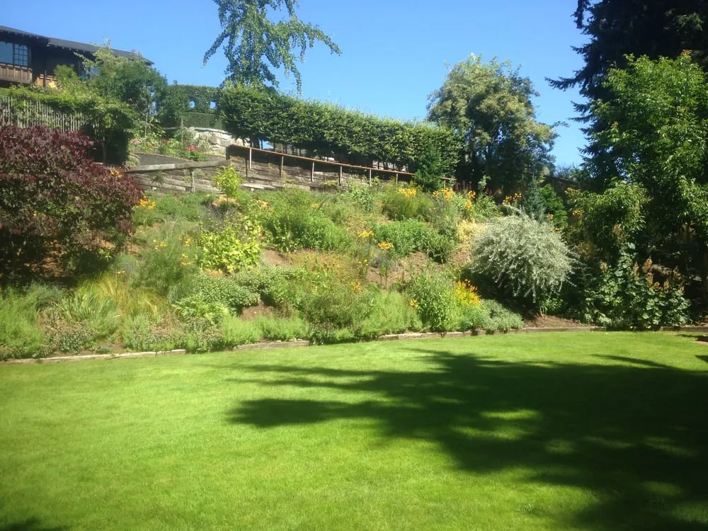 Expert lawn mowing service in Bellingham, WA by Dependable Yard Care & Landscapes