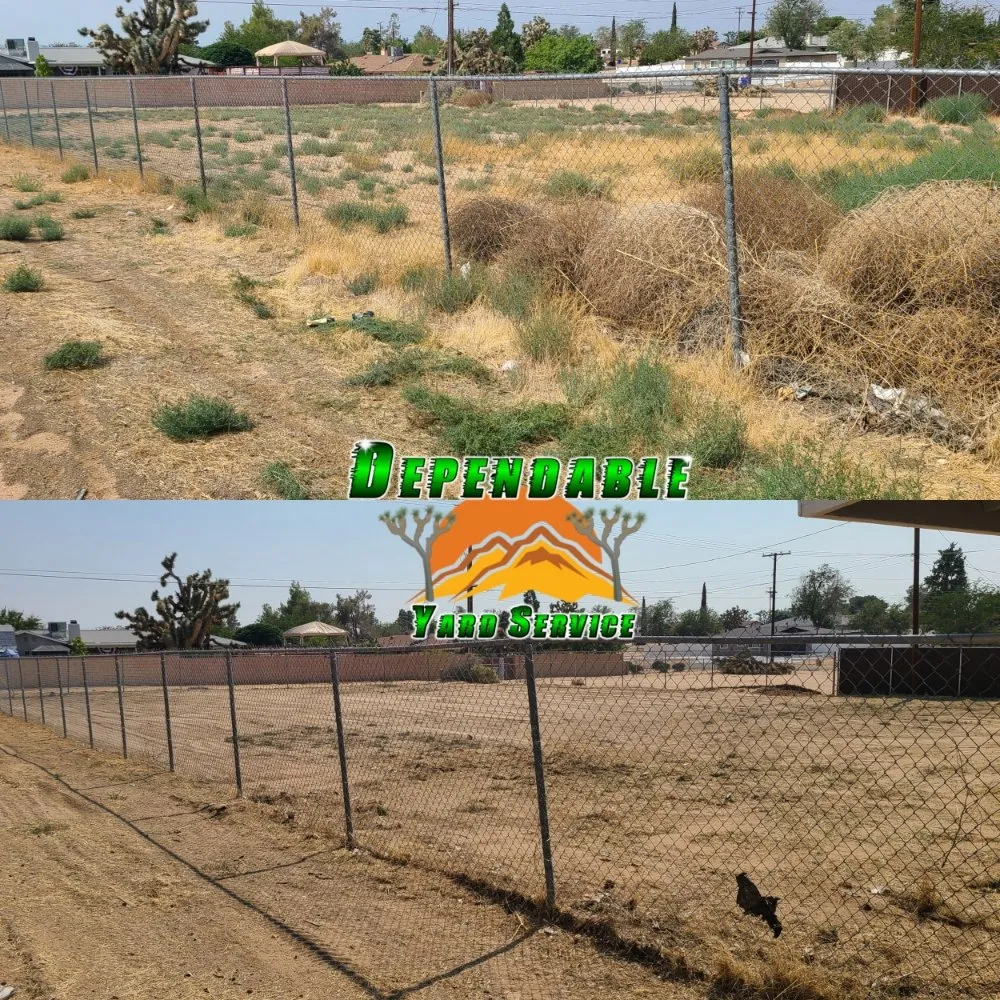 Reliable yard maintenance in Hesperia, CA by Dependable Yard Service