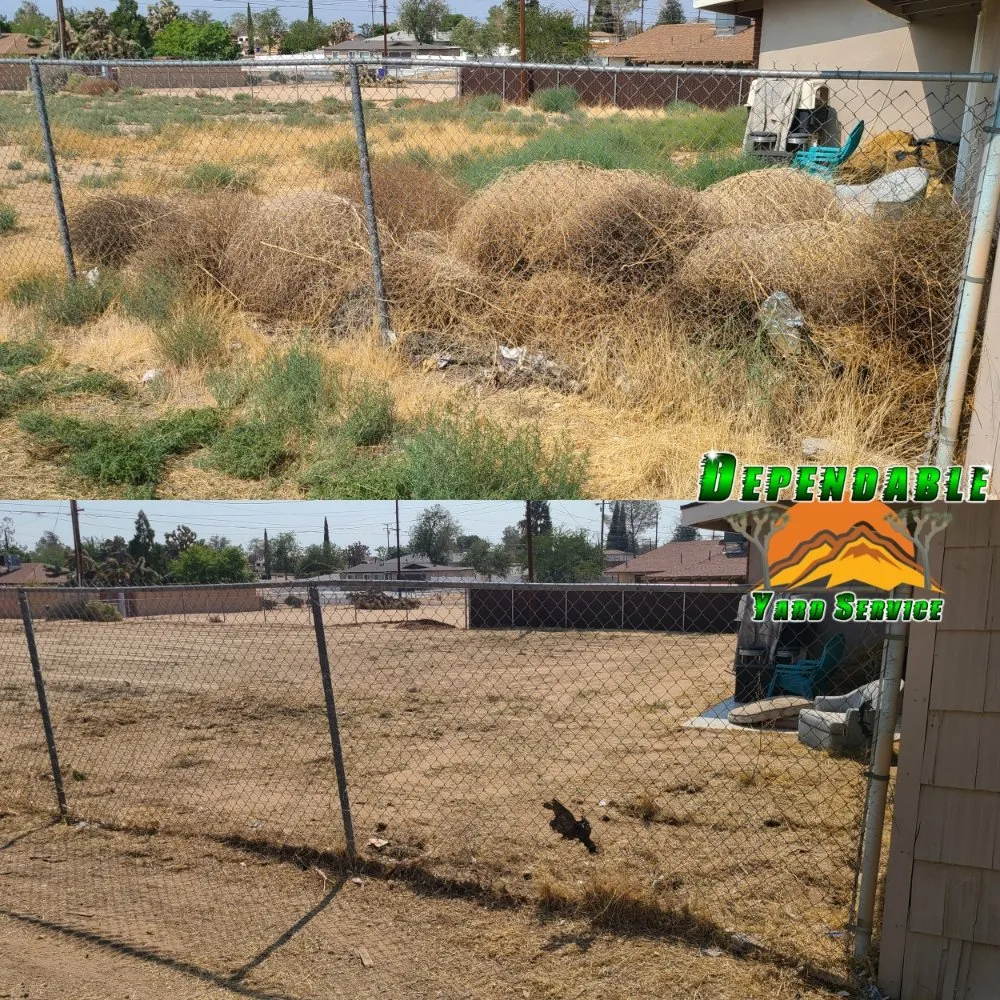 Expert yard maintenance in Hesperia, CA by Dependable Yard Service