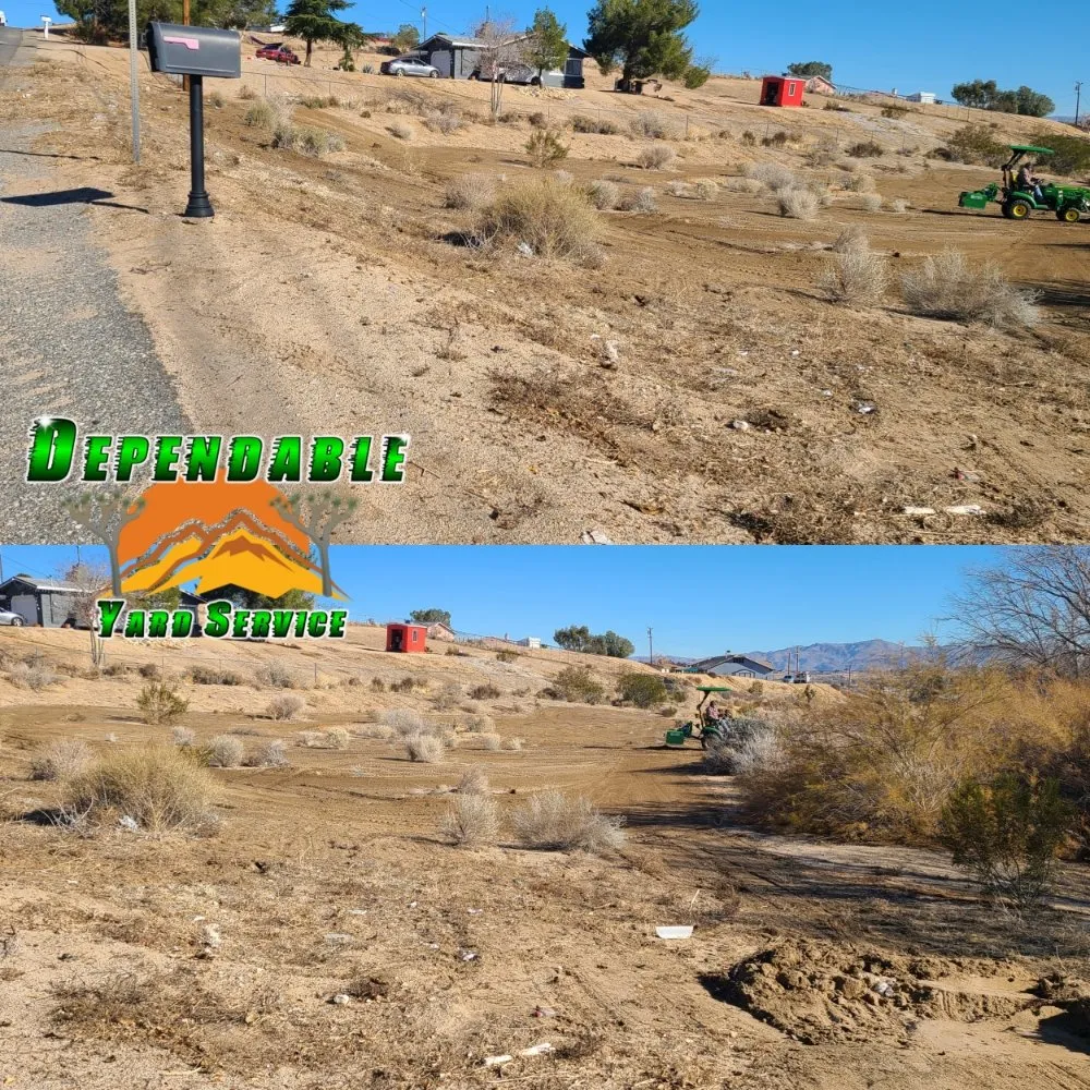 Affordable lawn care service for beautiful yards in Hesperia, CA by Dependable Yard Service