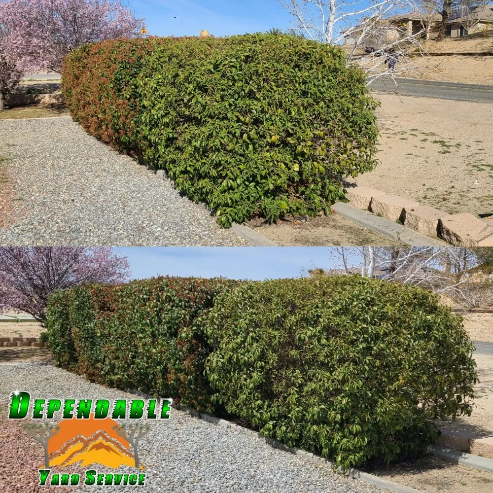 Trusted lawn care service in Hesperia, CA by Dependable Yard Service