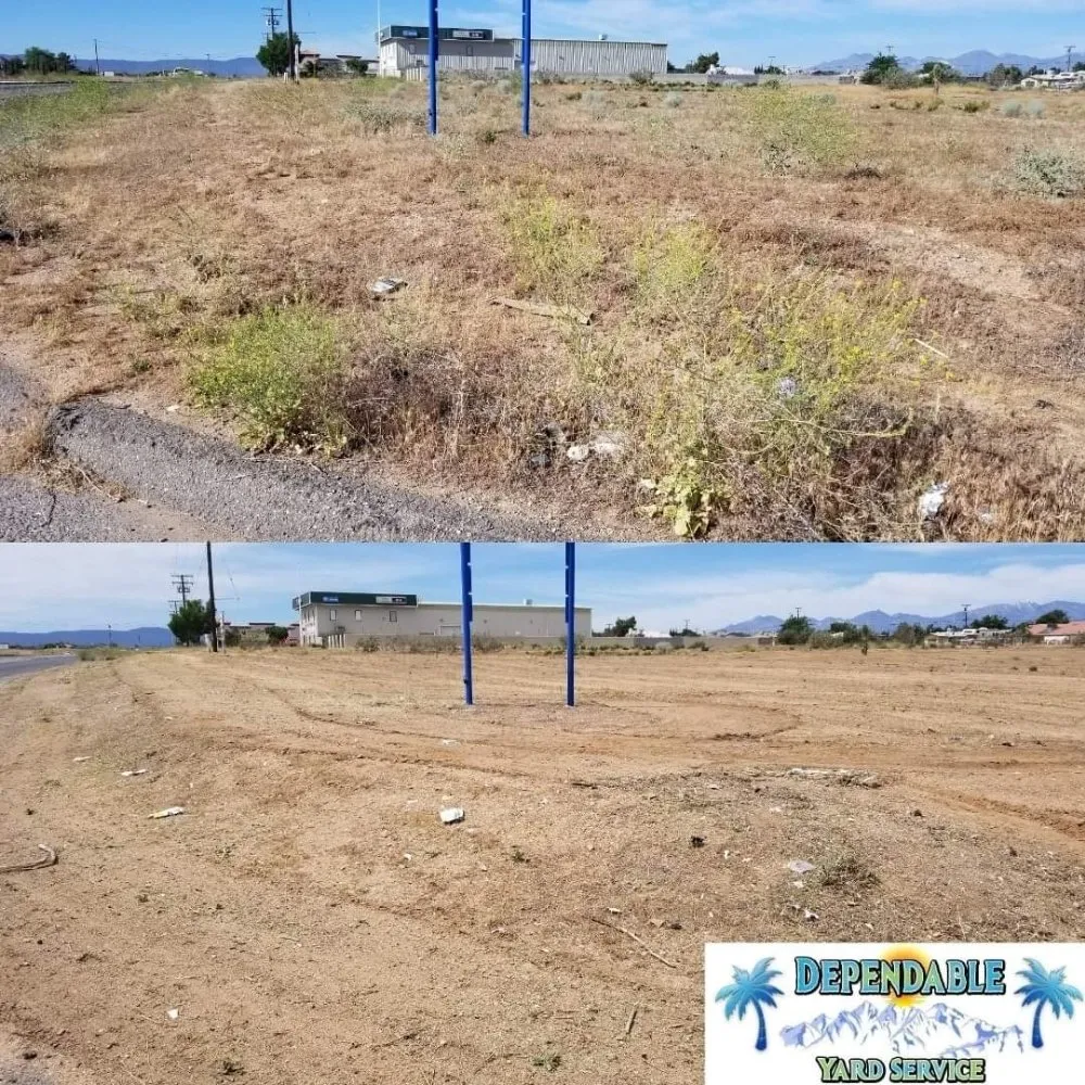 Expert landscaping services in Hesperia, CA - Dependable Yard Service